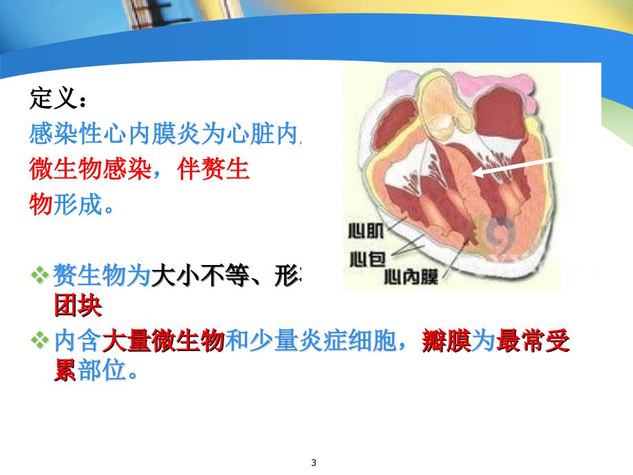 感染性心内膜炎护理ppt课件_第3页