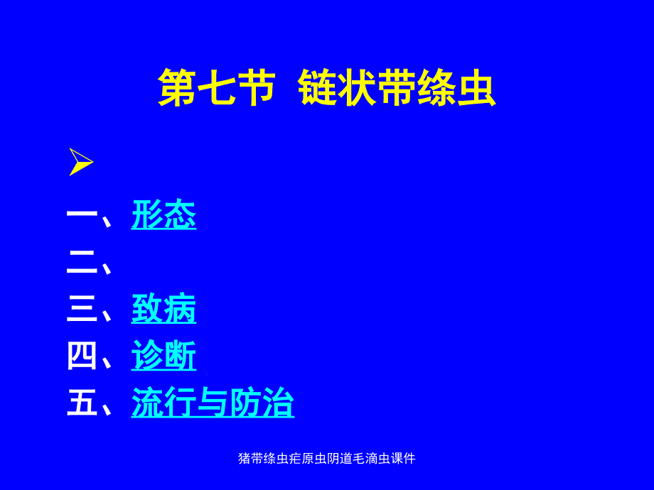 猪带绦虫疟原虫毛滴虫课件_第1页