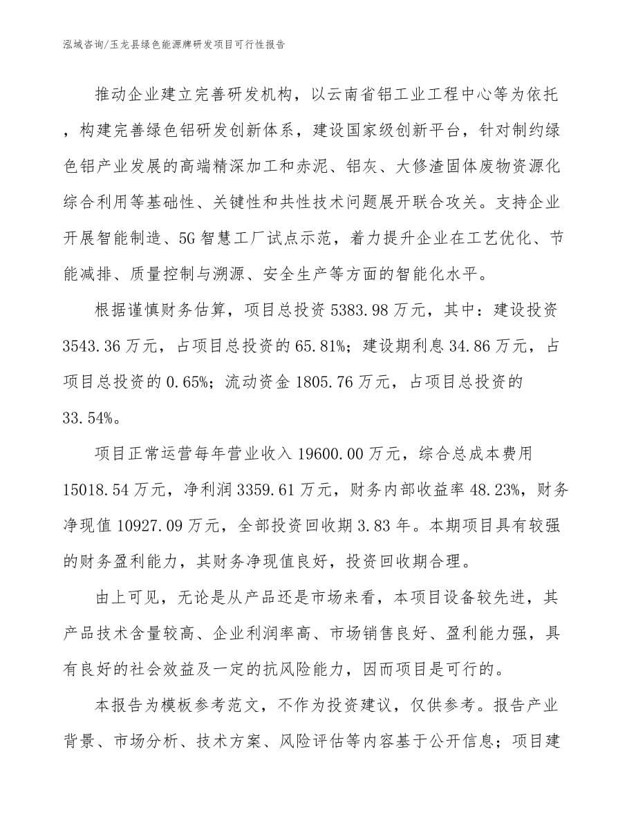 玉龙县绿色能源牌研发项目可行性报告_模板范文_第5页