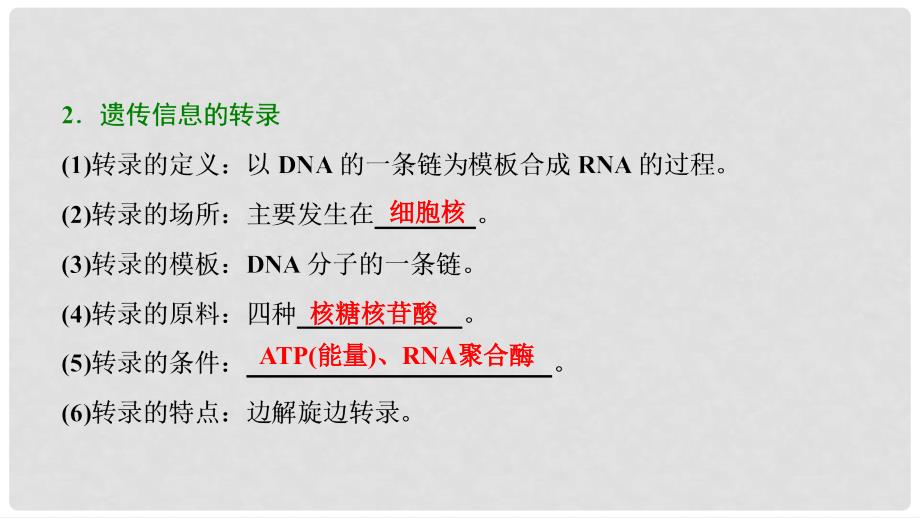 高考生物大一轮复习 第五单元 遗传的分子基础 第3讲 基因的表达课件_第4页