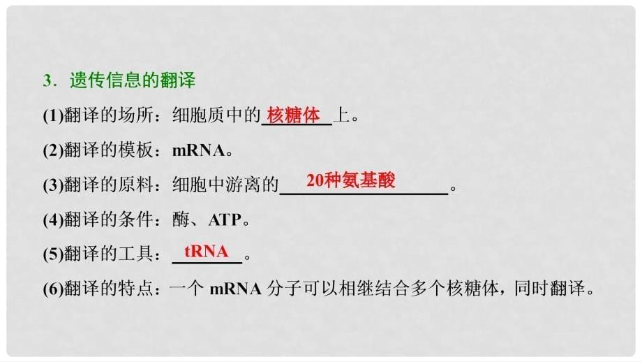 高考生物大一轮复习 第五单元 遗传的分子基础 第3讲 基因的表达课件_第5页