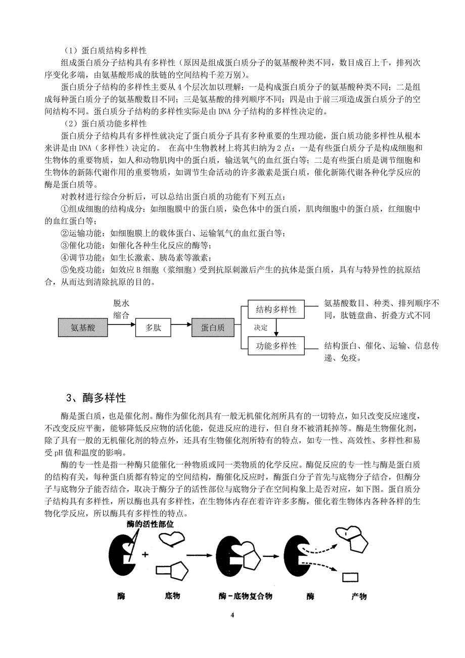 高中生物涉及的多样性及物质具有的专一性.doc_第4页