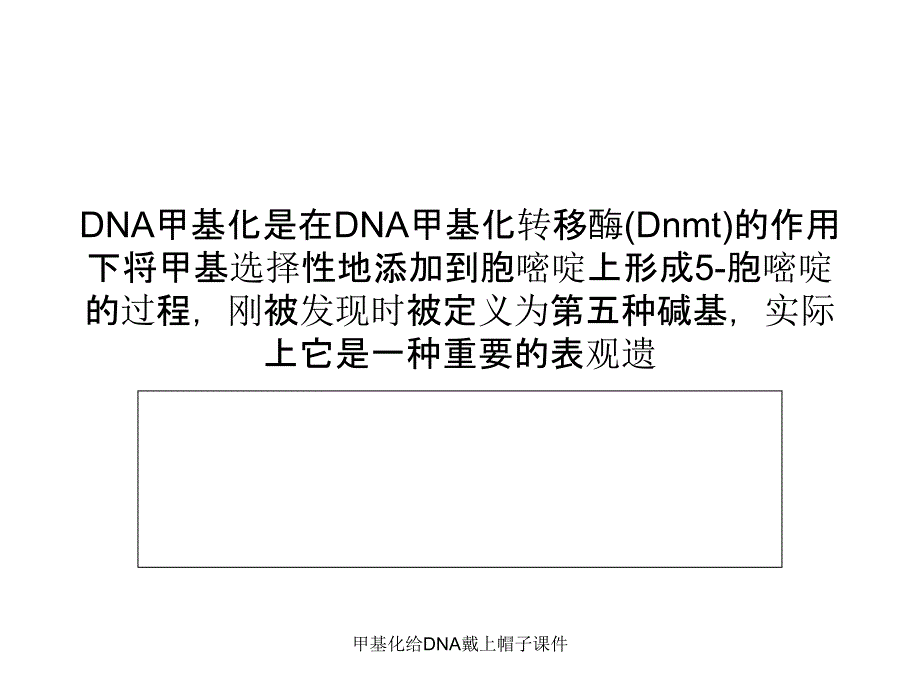 甲基化给DNA戴上帽子课件_第1页