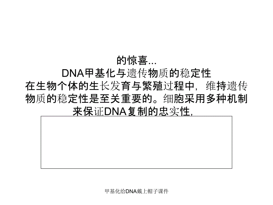 甲基化给DNA戴上帽子课件_第3页