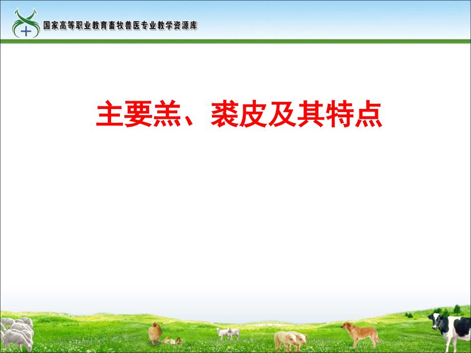 37-主要裘、羔皮及其特点(田得红)(精)_第1页