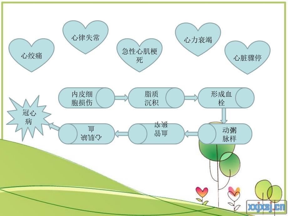 【医药健康】激光心肌血管重建术文档资料_第3页