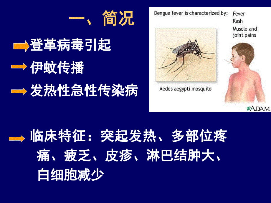 登革热DengueFever中山三院传染病教研室名师编辑PPT课件_第2页