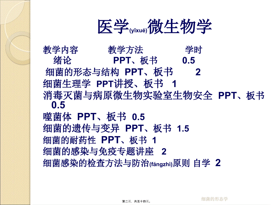 细菌的形态学课件_第2页