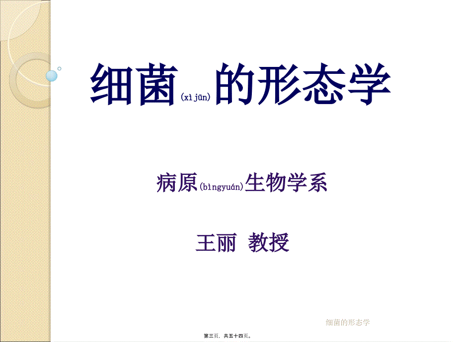 细菌的形态学课件_第3页