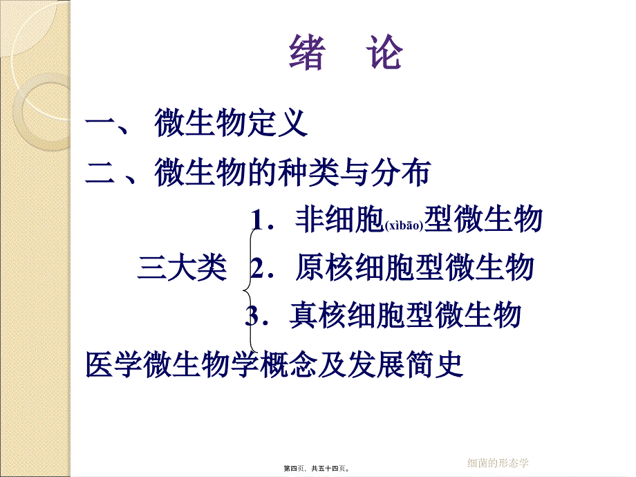 细菌的形态学课件_第4页