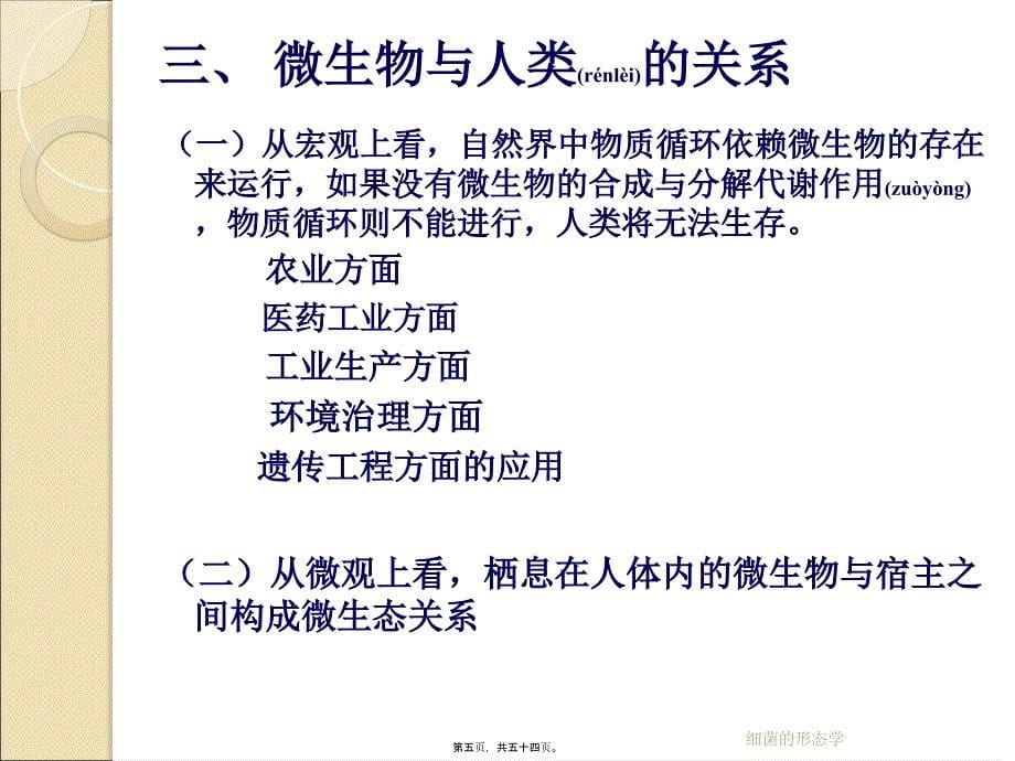 细菌的形态学课件_第5页