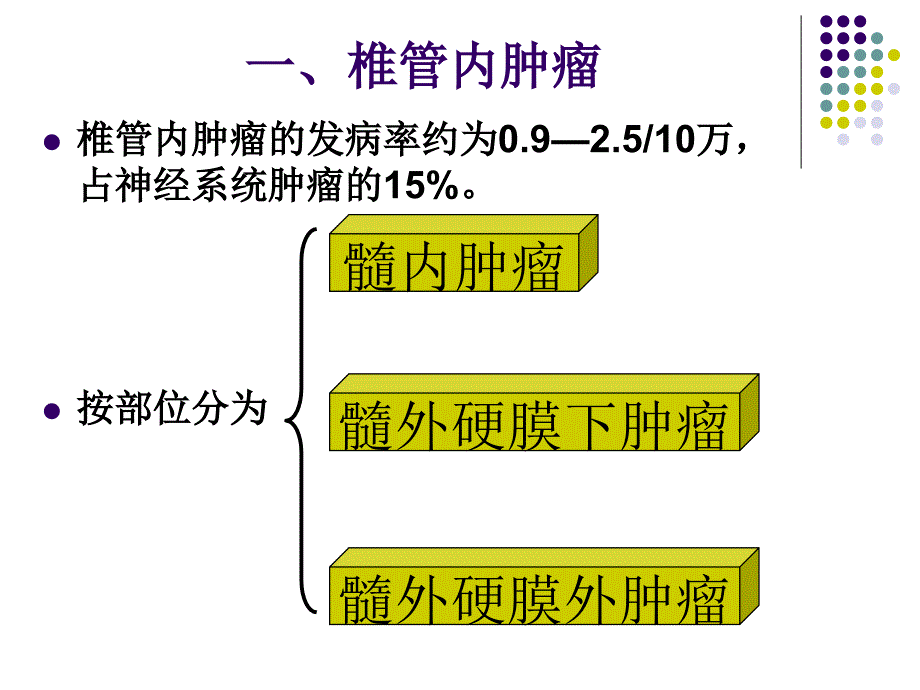 椎管肿瘤脊柱损伤血管畸形教学教材_第2页