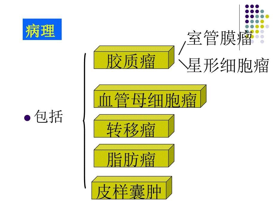 椎管肿瘤脊柱损伤血管畸形教学教材_第5页