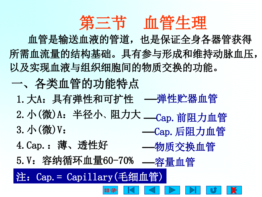 大学医学院生理版课件第四章血管生理_第1页