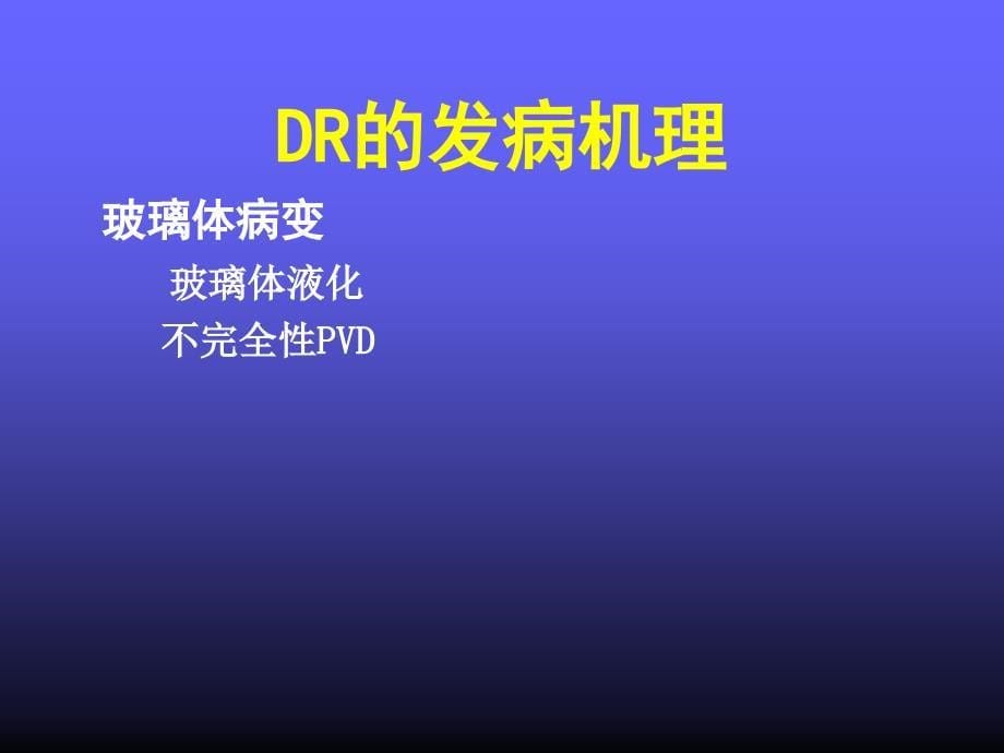 《糖尿病视网膜病变》PPT课件_第5页