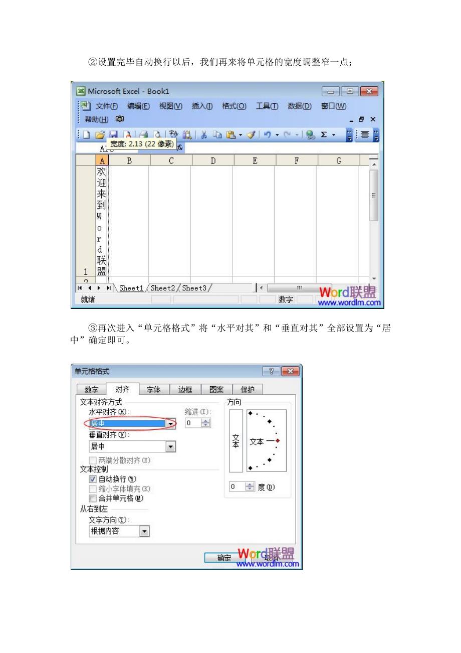 Excel表格文字横排设置成竖排技巧_第3页