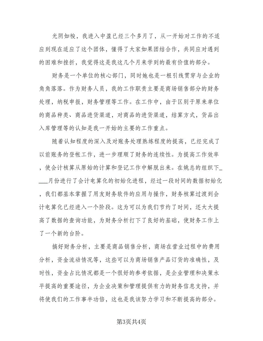 财务工作个人年终总结模板（二篇）.doc_第3页