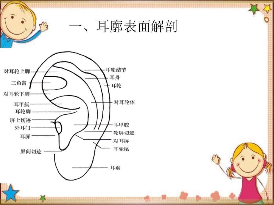 中医耳穴压豆课件_第2页