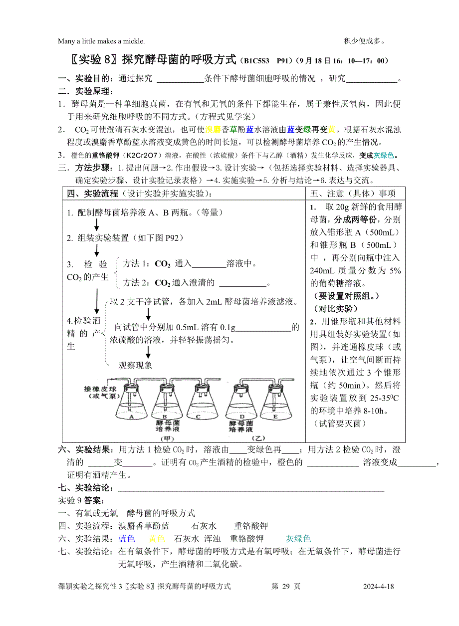 实验8探究酵母菌的呼吸方式_第1页