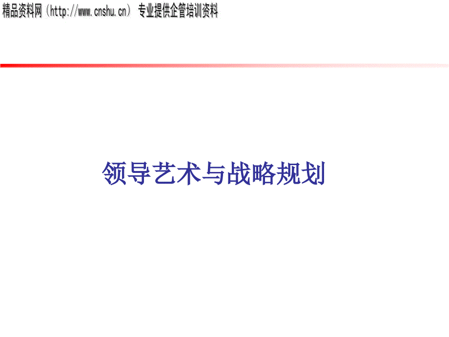 领导艺术模型与战略规划_第1页