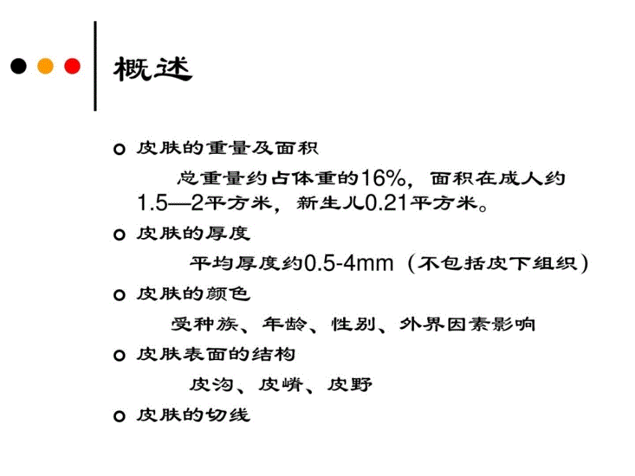 第二章皮肤的解剖和组织结构1598800797整理版课件_第4页