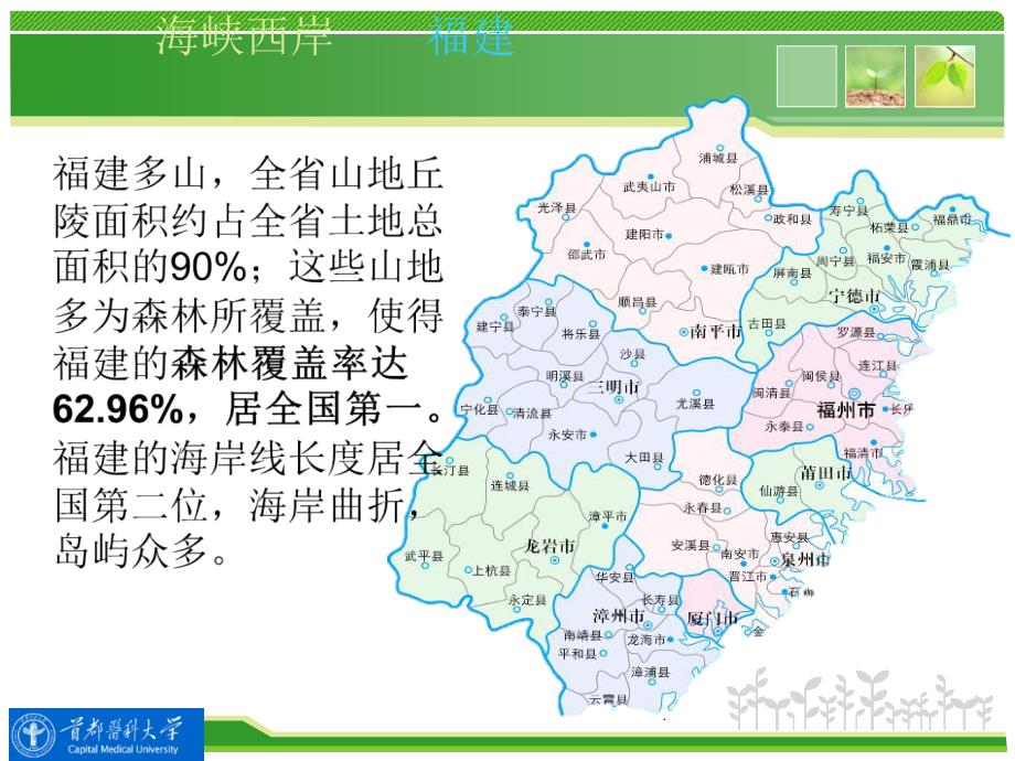 福建莆田中药道地药材简介首都医科大学陈敏ppt课件_第3页