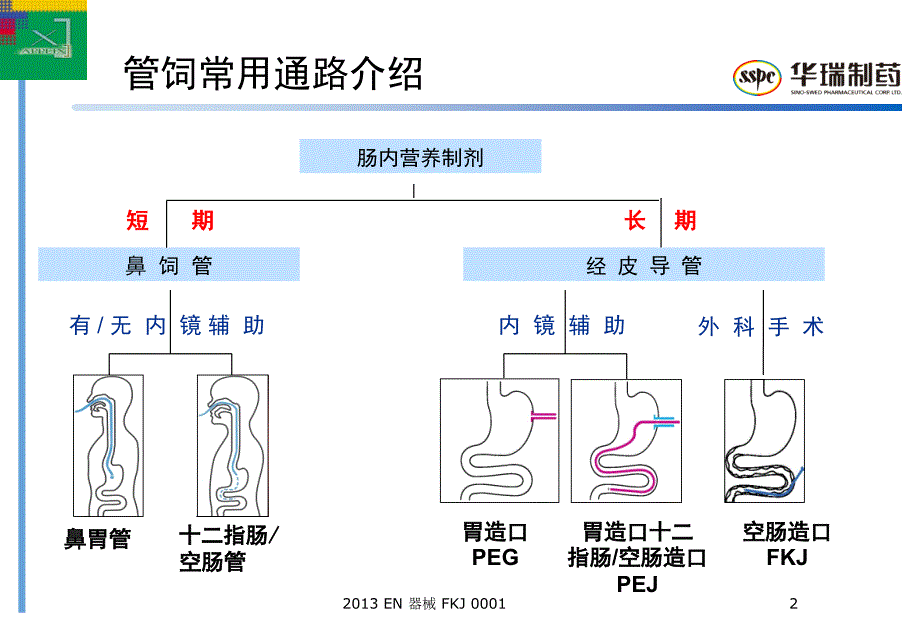 FKJ-胸外空肠造口术_第2页