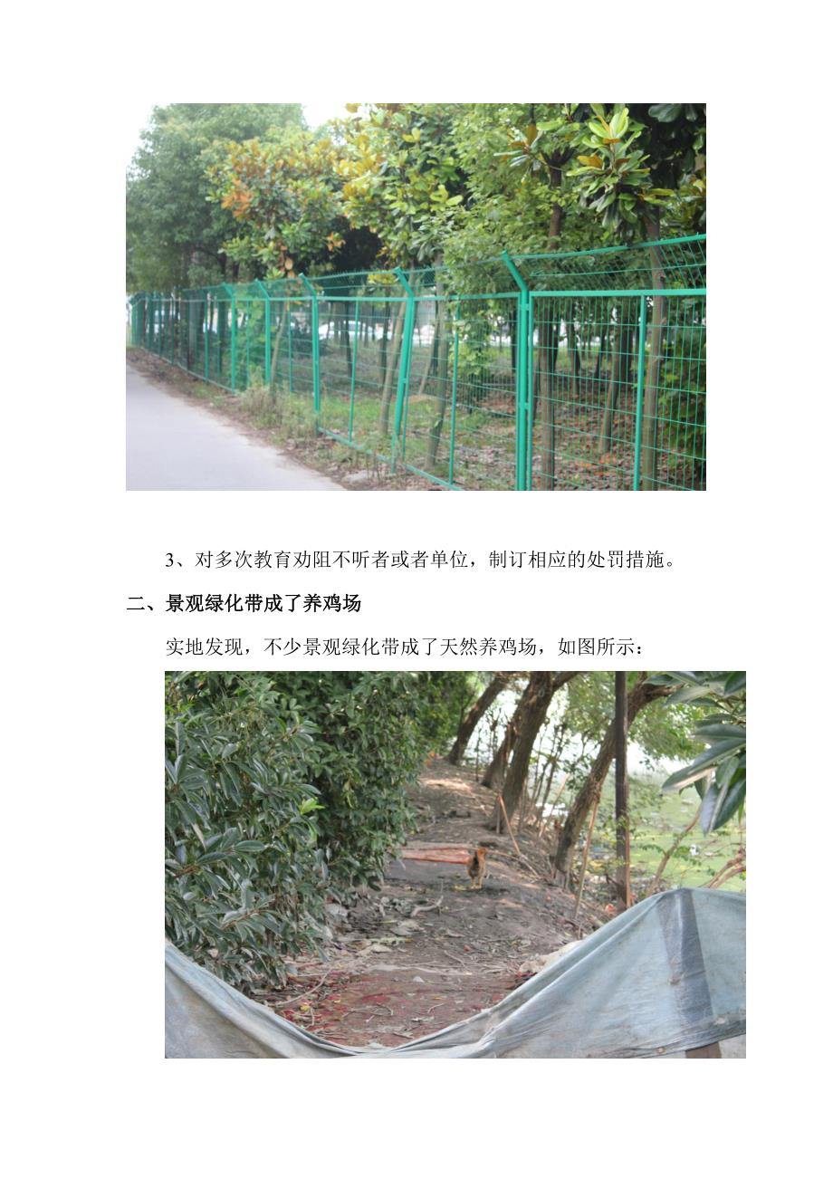 绿化带改造建议.doc_第4页