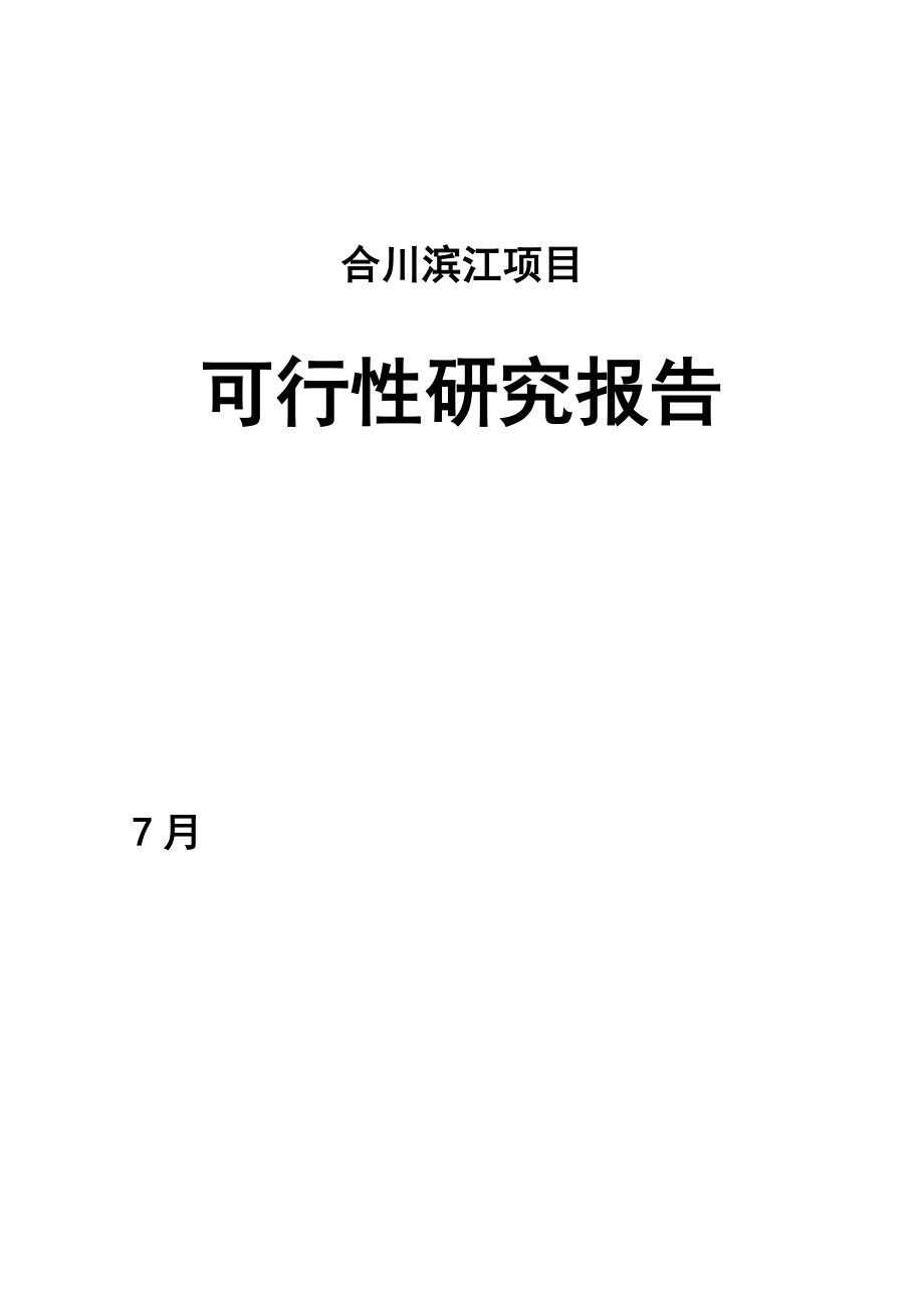 合川滨江项目可行性论证报告.doc_第1页