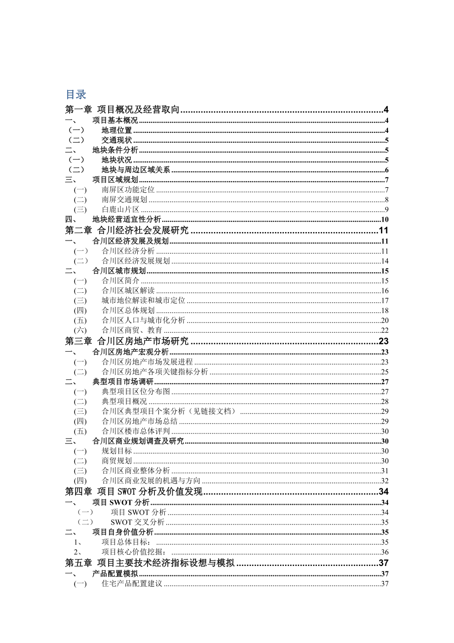 合川滨江项目可行性论证报告.doc_第2页