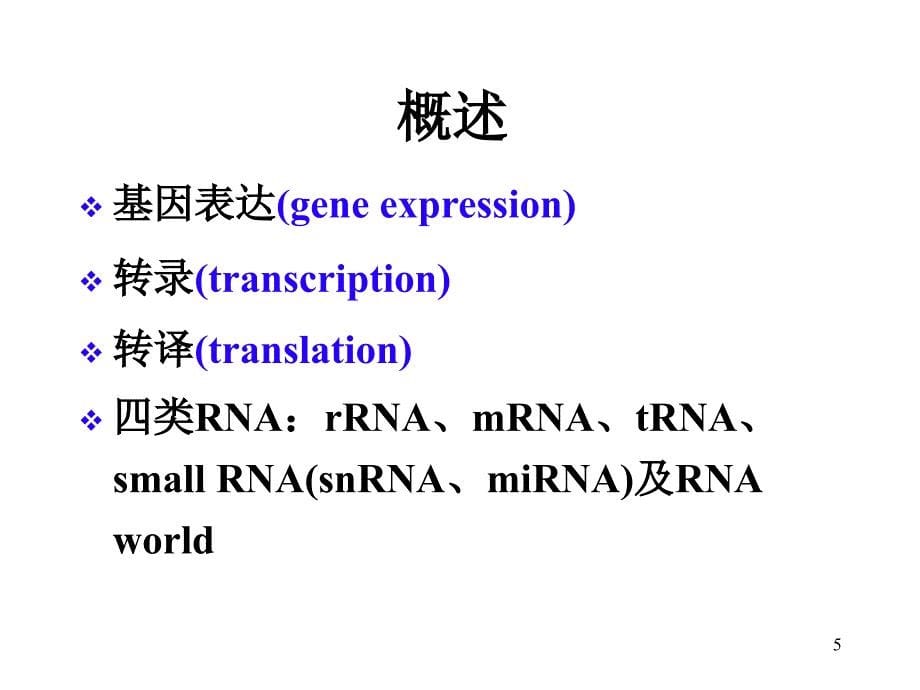 ch14Transcription本科白课件_第5页