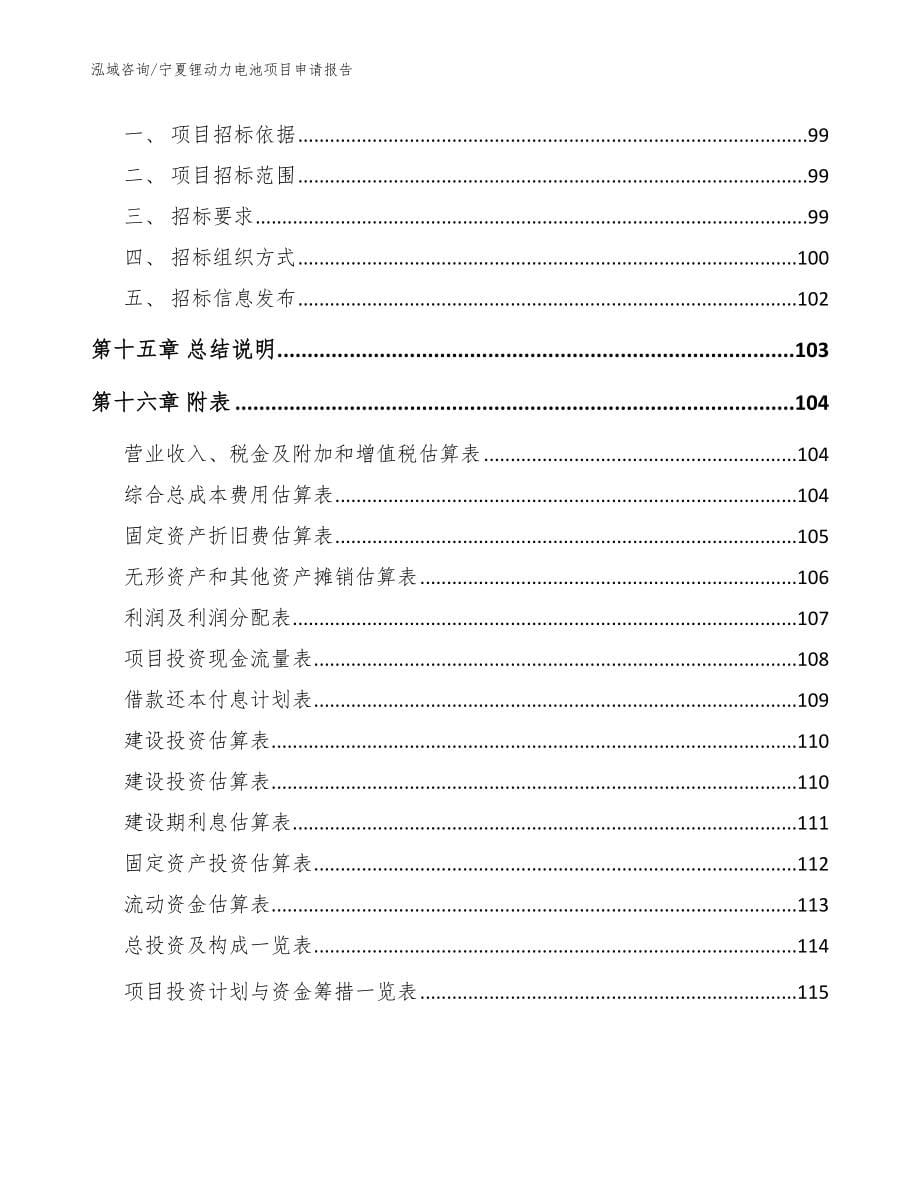 宁夏锂动力电池项目申请报告【模板范文】_第5页