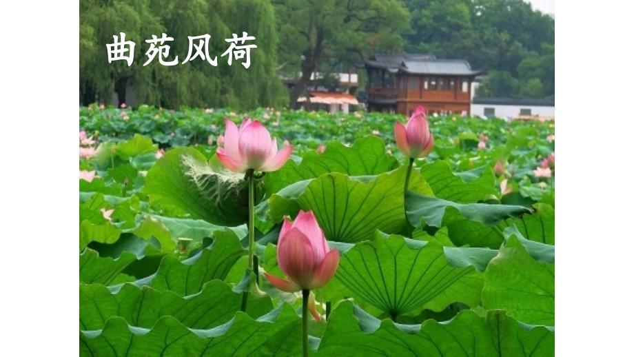 部编版三年级上册语文 17 古诗三首《饮湖上初晴后雨》1课件_第3页