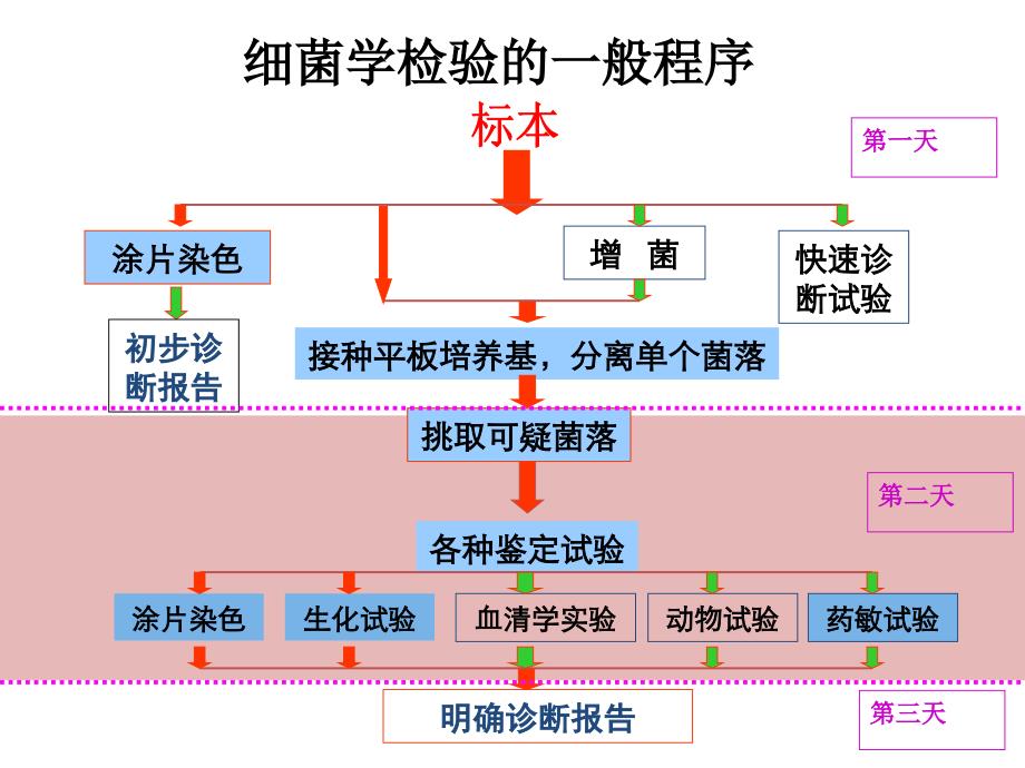 病原生物实验课：第09次实验 临床标本的细菌学2_第2页