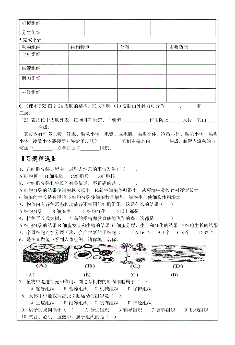 2.3生物体的结构层次1导学案_第2页