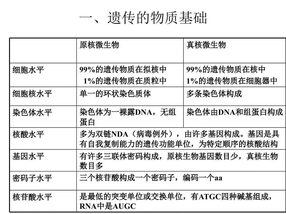 微生物理论课件第八章 微生物遗传_第5页