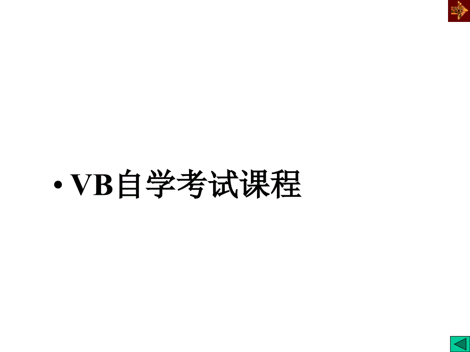 计算机二级VisualBasic6.0考试专用_第1页