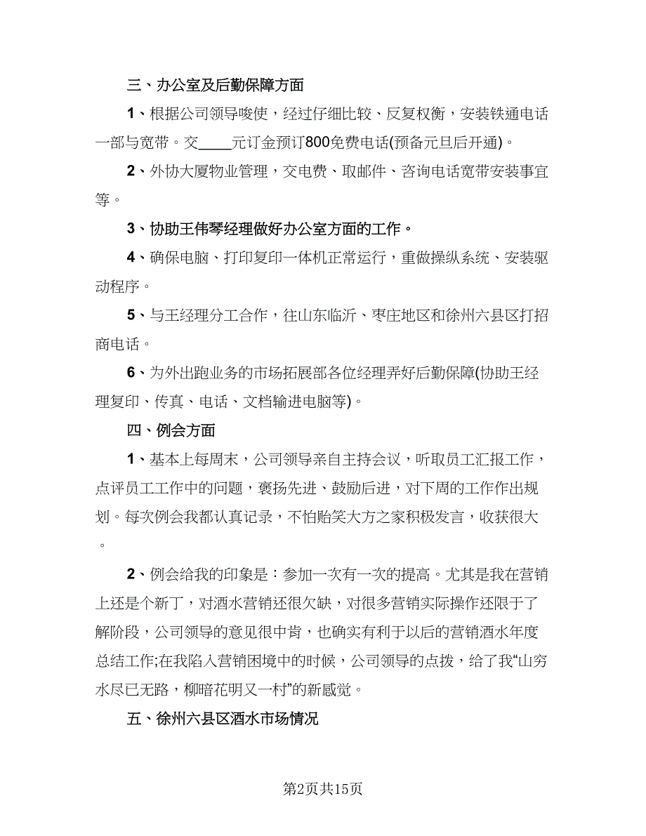 普通业务员个人总结模板（5篇）.doc_第2页