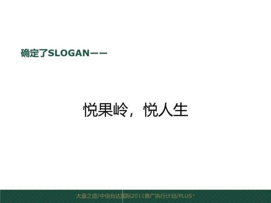 最新博加广告7月海口中信台达国际推广执行计划无图.ppt幻灯片_第5页