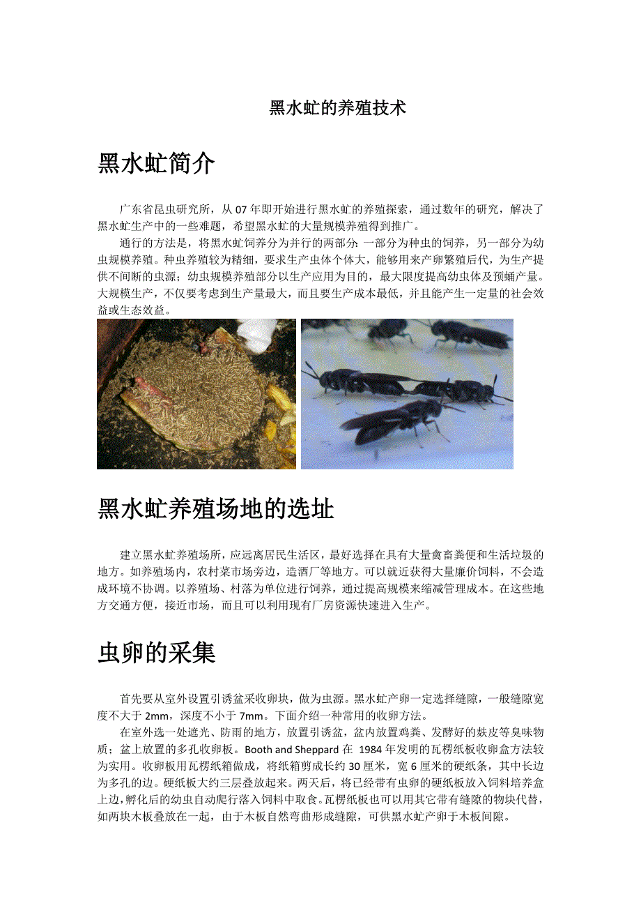 黑水虻养殖技术_第1页
