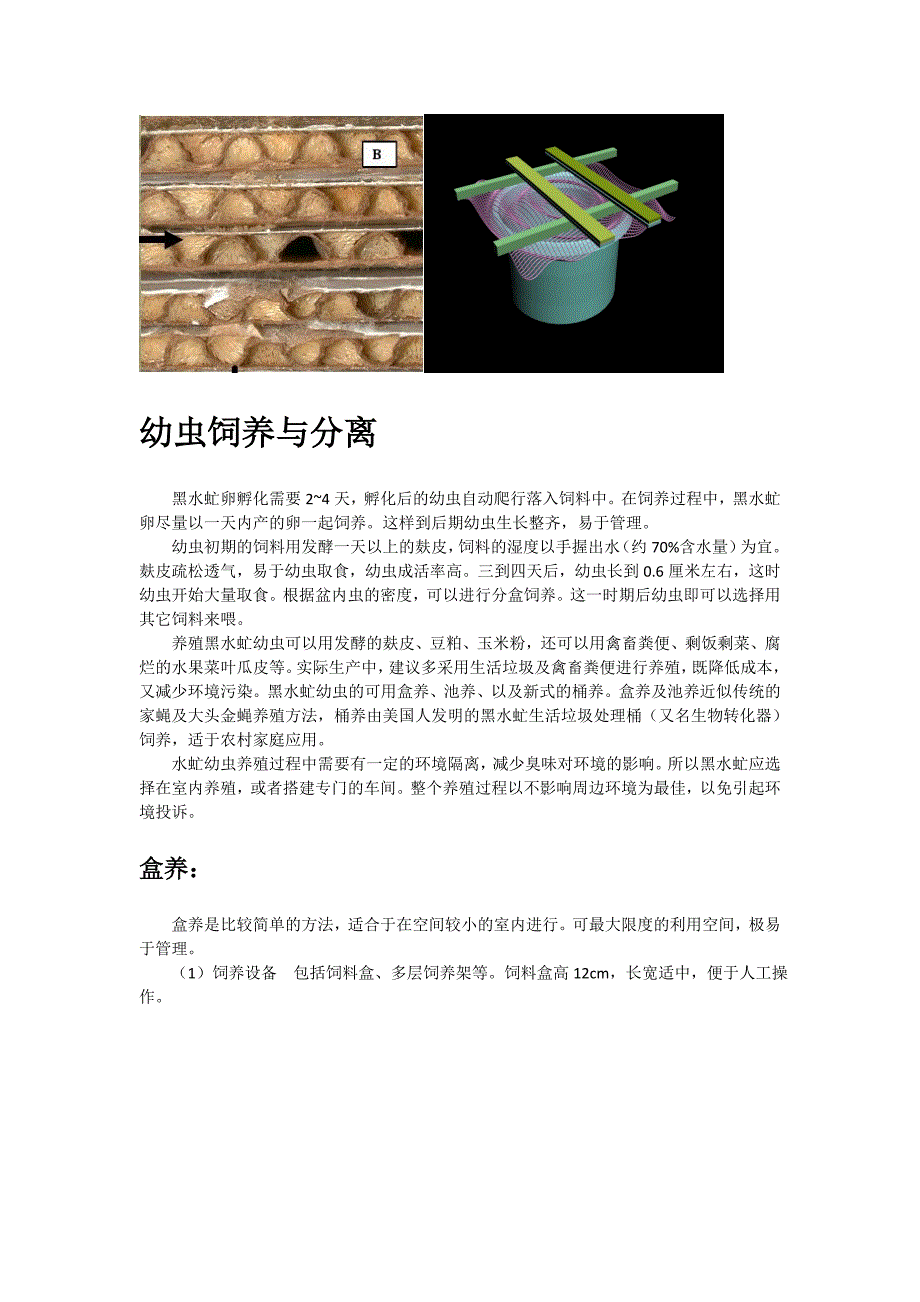 黑水虻养殖技术_第2页