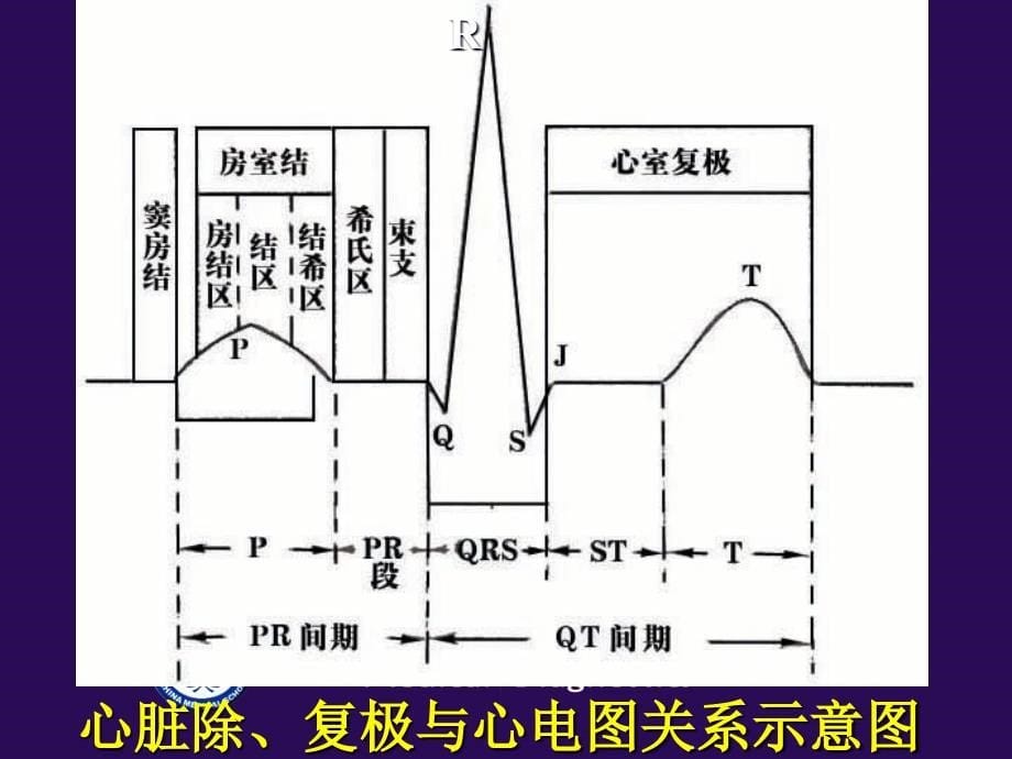 心电图-正常值..课件_第5页