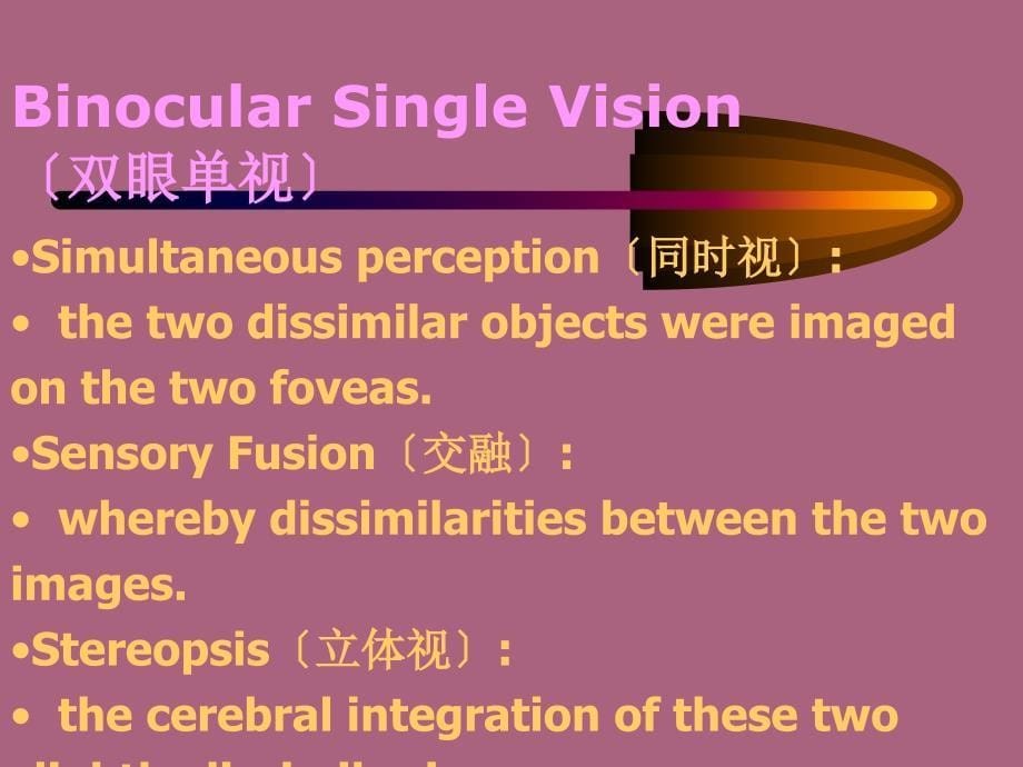 眼外肌学概述ppt课件_第5页