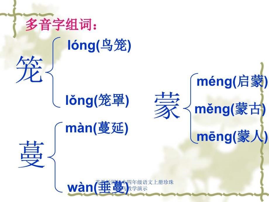 苏教版国标本四年级语文上册珍珠鸟教学演示课件_第5页