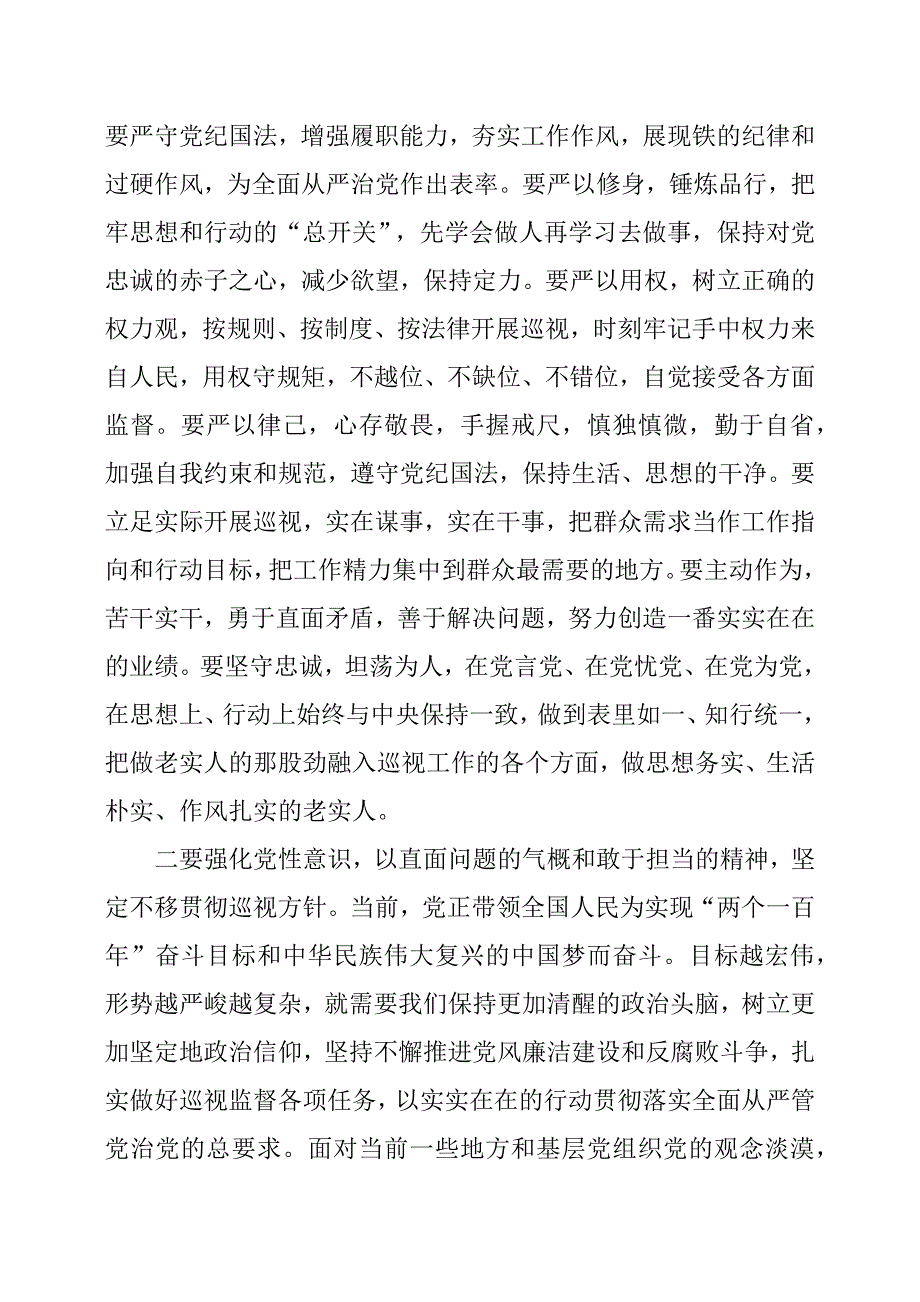 参加中央巡视工作的体会和启示.docx_第4页