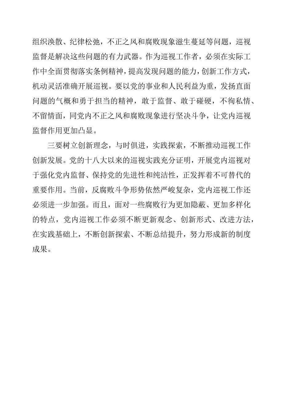 参加中央巡视工作的体会和启示.docx_第5页