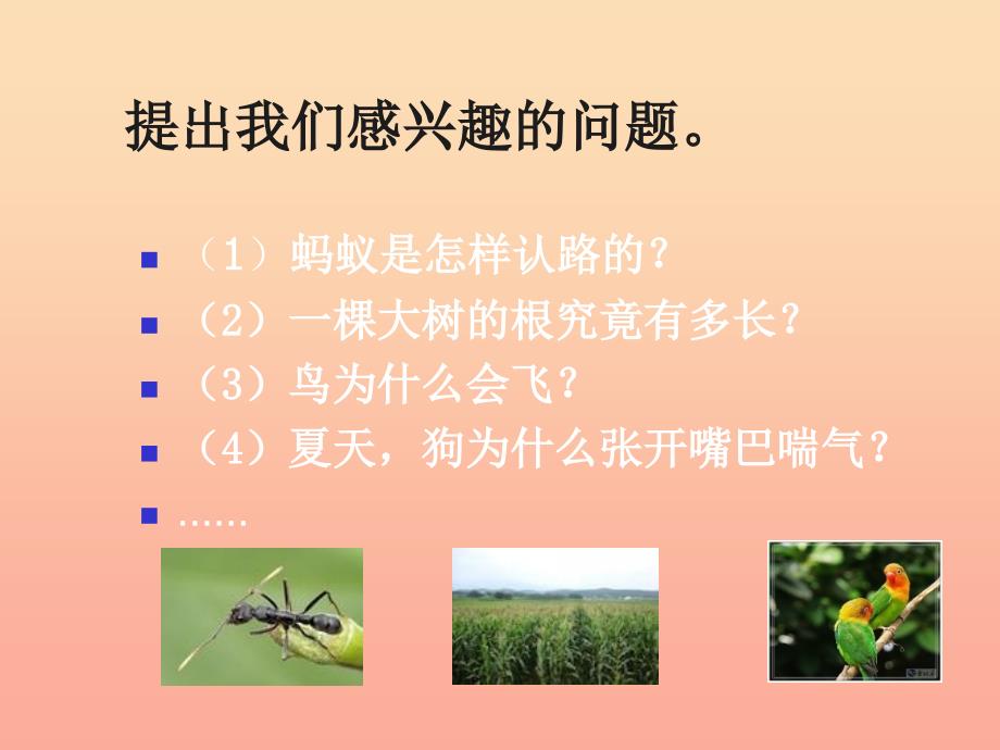 三年级科学上册1.3我们周围的动植物课件1青岛版五四制_第4页