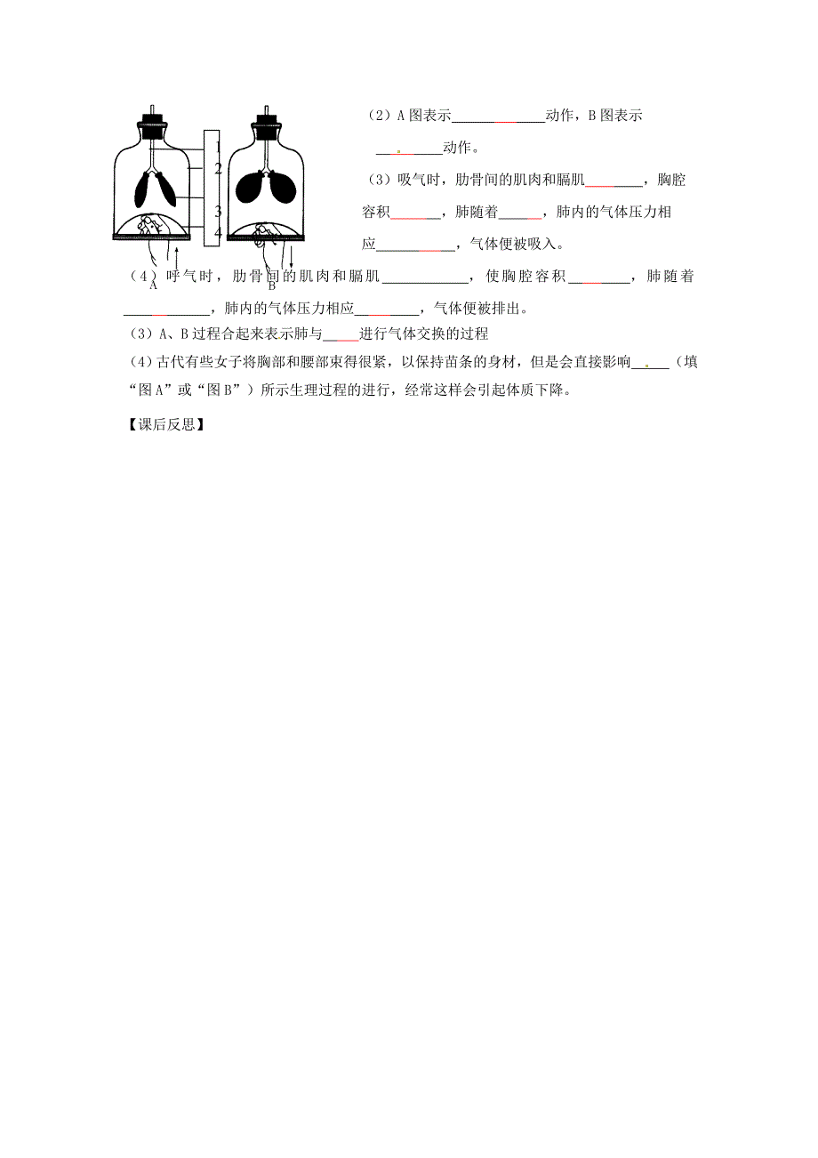 精选类202x七年级生物下册第三章第二节发生在肺内的气体交换学案无答案新版新人教版_第3页