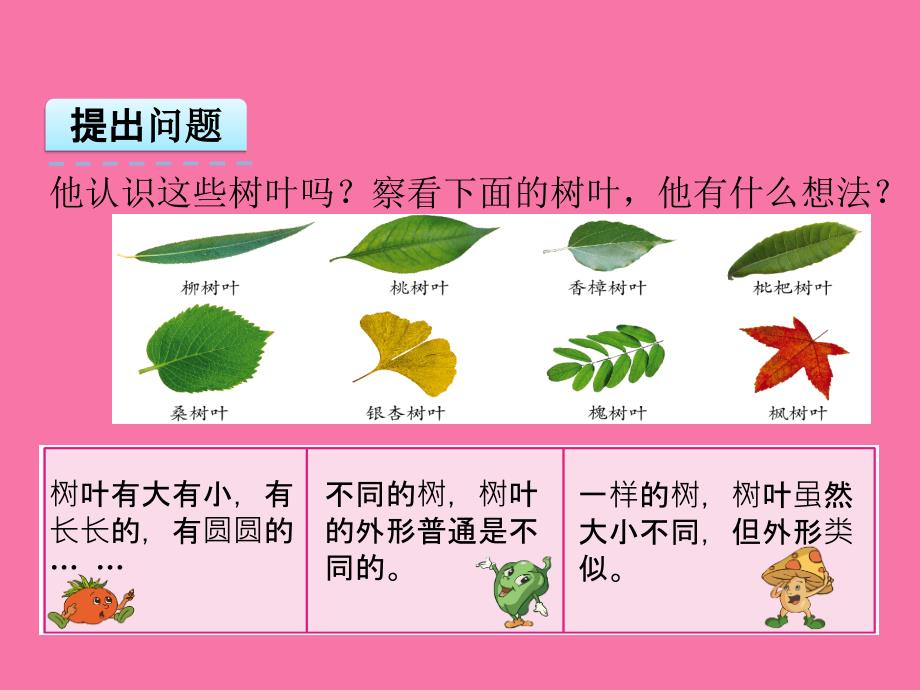 六年级上册数学树叶中的比ppt课件_第4页