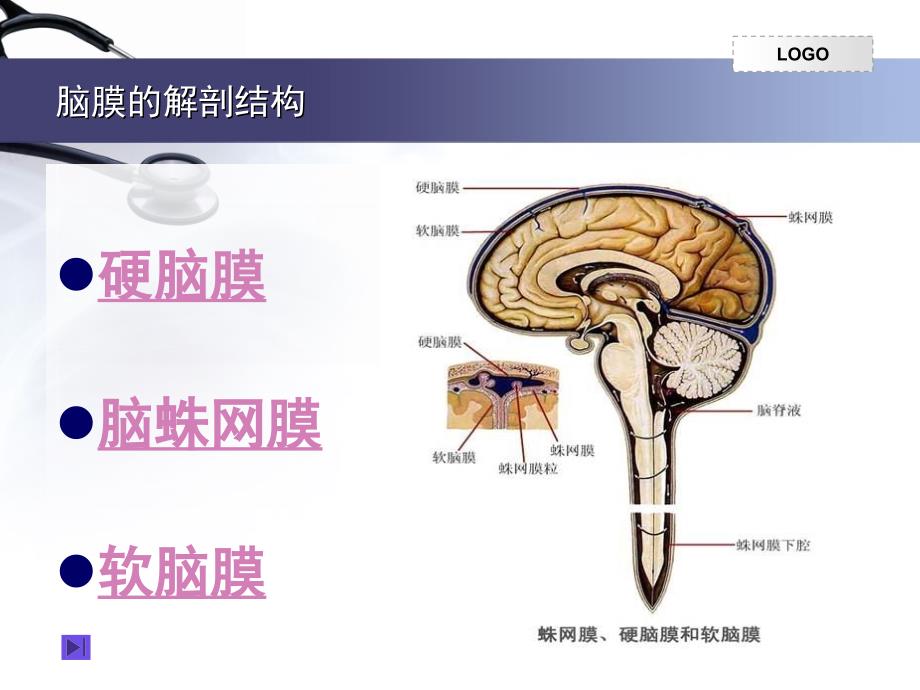 脑膜的解剖课堂PPT_第3页